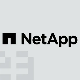 Netapp 2